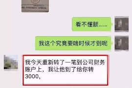 信阳为什么选择专业追讨公司来处理您的债务纠纷？